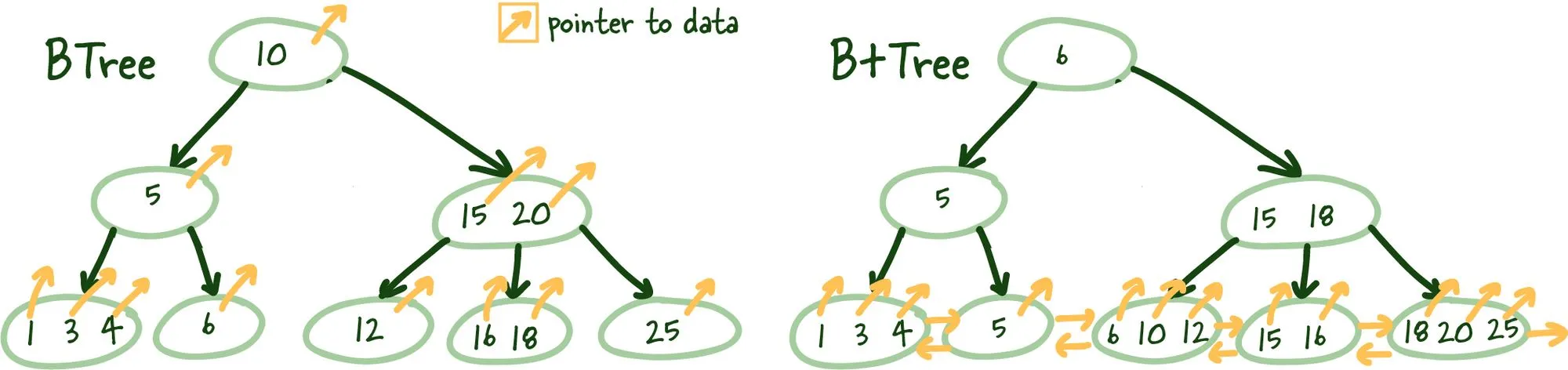 B and B+ tree
