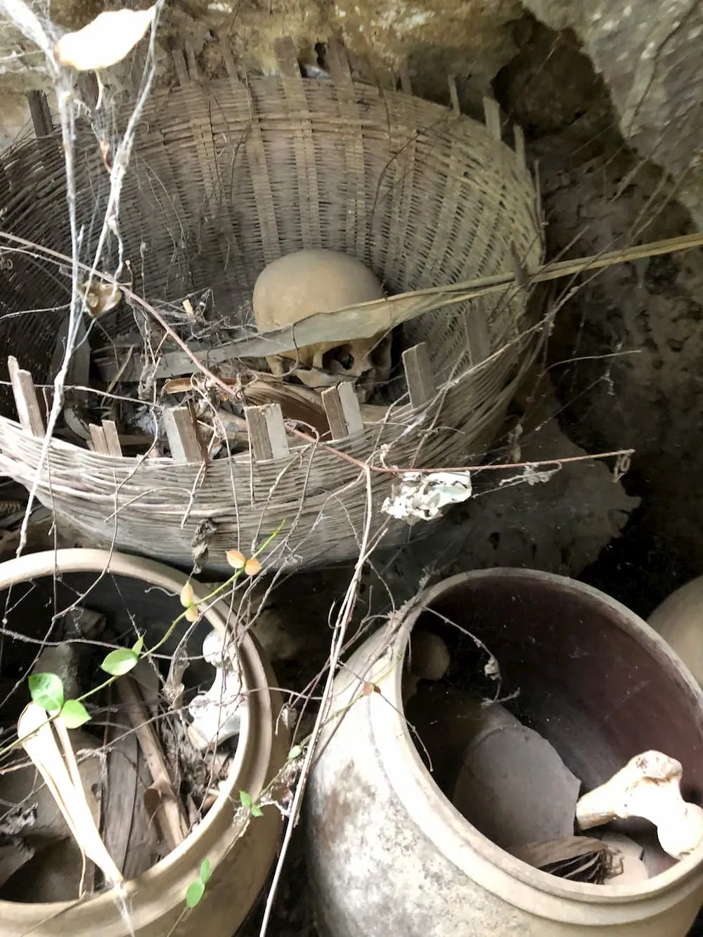 human remains at yang mtn.